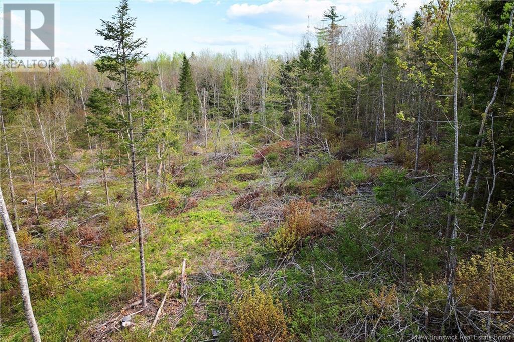 Lot 24-1 Lauvina Road, Geary, New Brunswick  E2V 0O0 - Photo 7 - NB119138