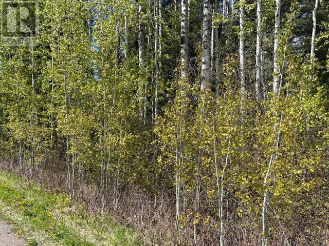 LOT 26 BOULTBEE ROAD, Bridge Lake, British Columbia