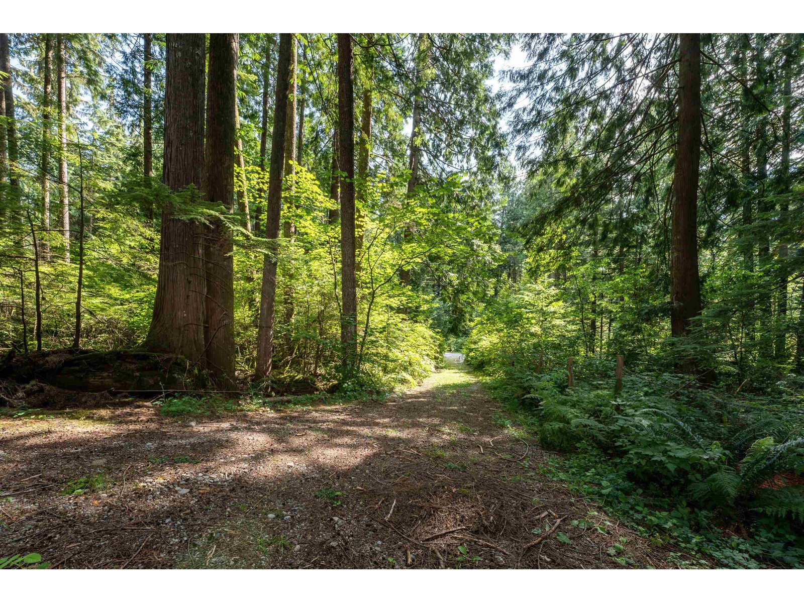 12668 Cathy Crescent, Mission, British Columbia  V4S 1C8 - Photo 29 - R3006050