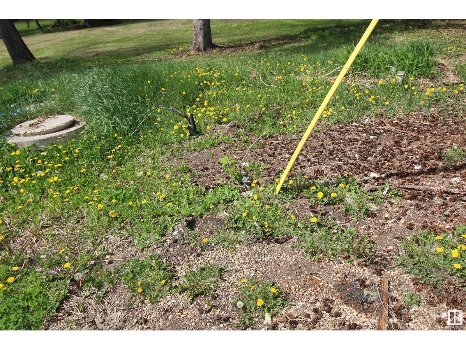 #121 57323 Rr 30, Rural Barrhead County, Alberta  T0E 1A0 - Photo 14 - E4437921