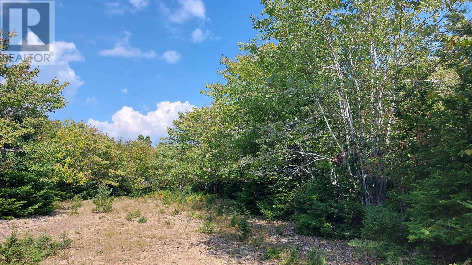 Campbells Point, Grand Lake, Nova Scotia  B0E 1K0 - Photo 7 - 202511958