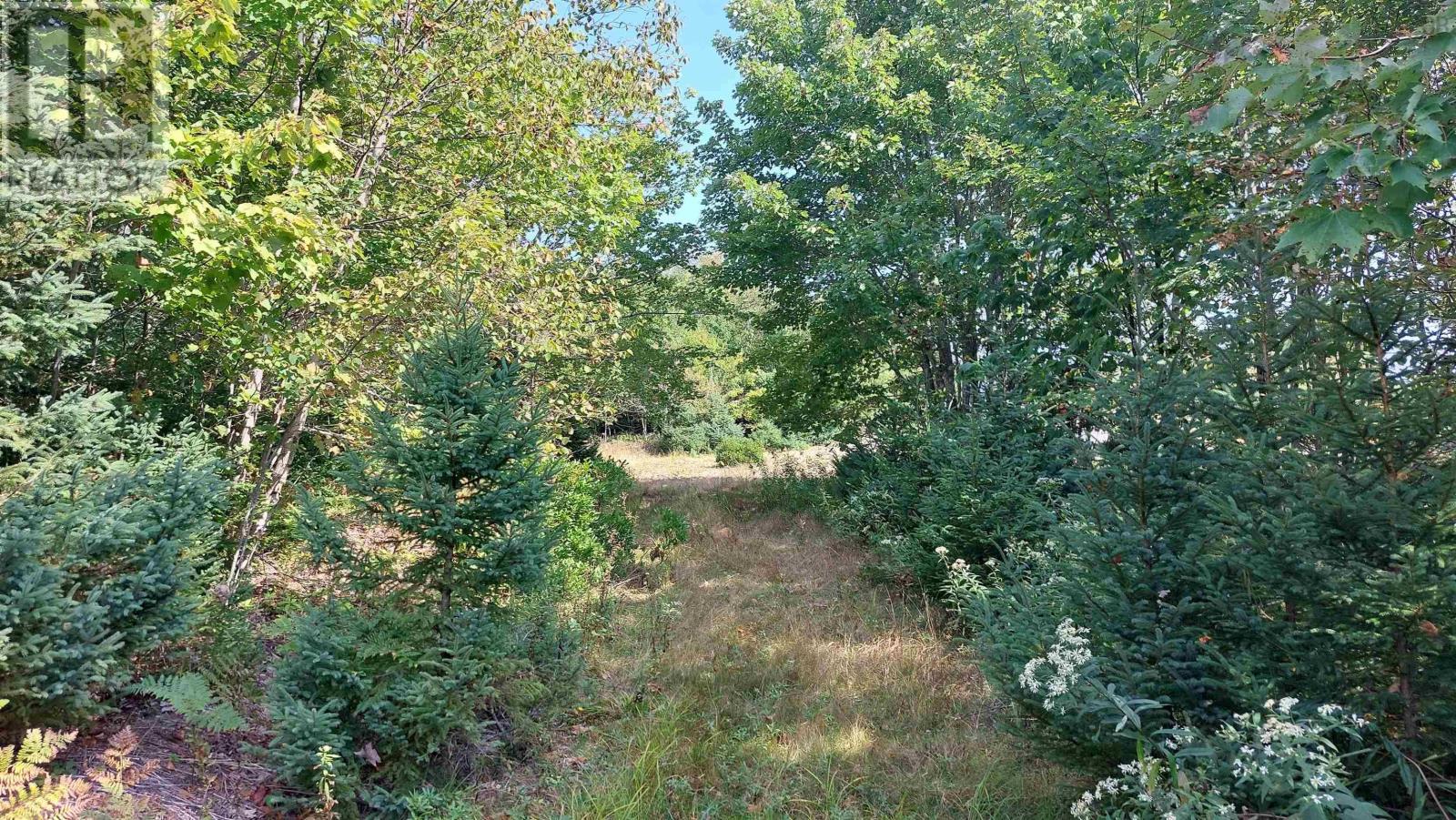 Campbells Point, Grand Lake, Nova Scotia  B0E 1K0 - Photo 8 - 202511958