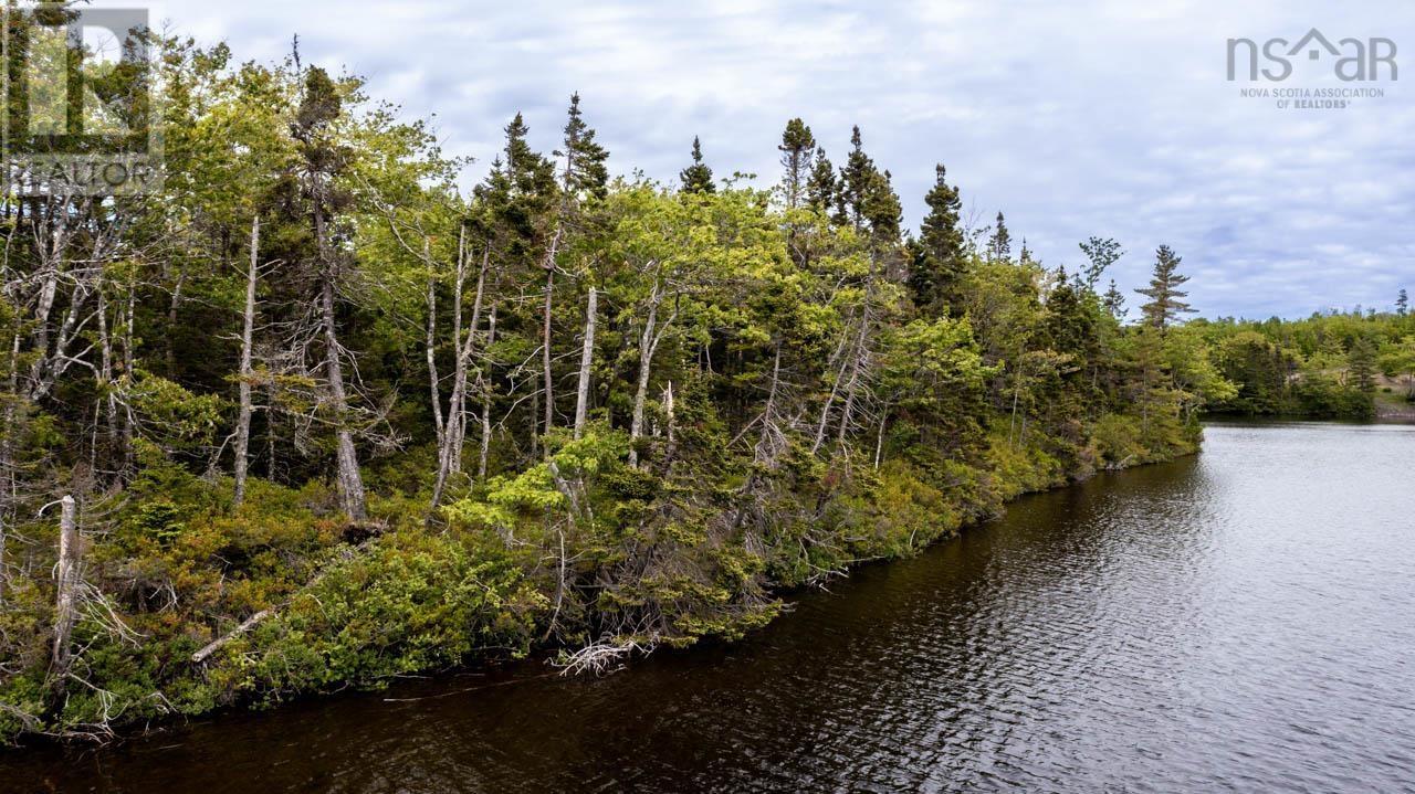 Campbells Point, Grand Lake, Nova Scotia  B0E 1K0 - Photo 12 - 202511958