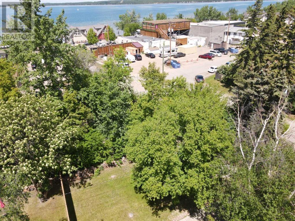 5040,5042 47 Street, Sylvan Lake, Alberta  T4S 1X9 - Photo 8 - A2195018