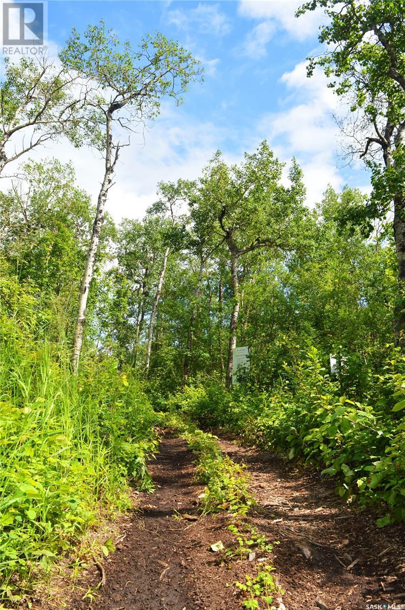 Lot 16 Block 10, Lake Lenore Rm No. 399, Saskatchewan  S0K 3V0 - Photo 22 - SK006836