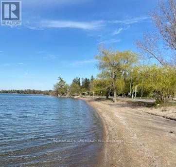 1903 Metro Road N, Georgina, Ontario  L0E 1L0 - Photo 41 - N12167200
