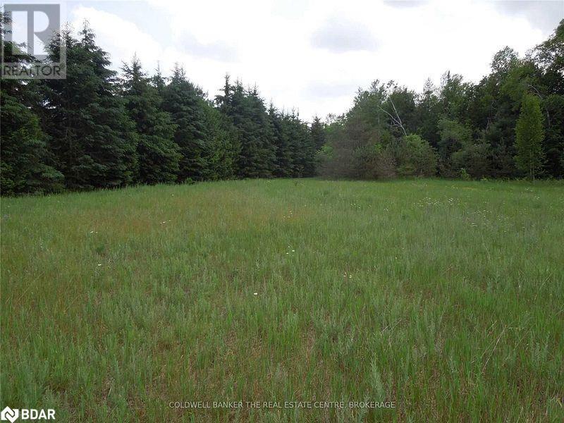 6 Tioga Boulevard, Adjala-Tosorontio, Ontario  L0M 1J0 - Photo 2 - 40728473
