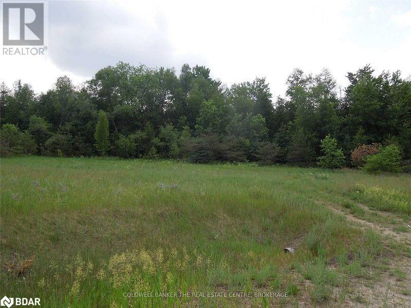 6 Tioga Boulevard, Adjala-Tosorontio, Ontario  L0M 1J0 - Photo 4 - 40728473