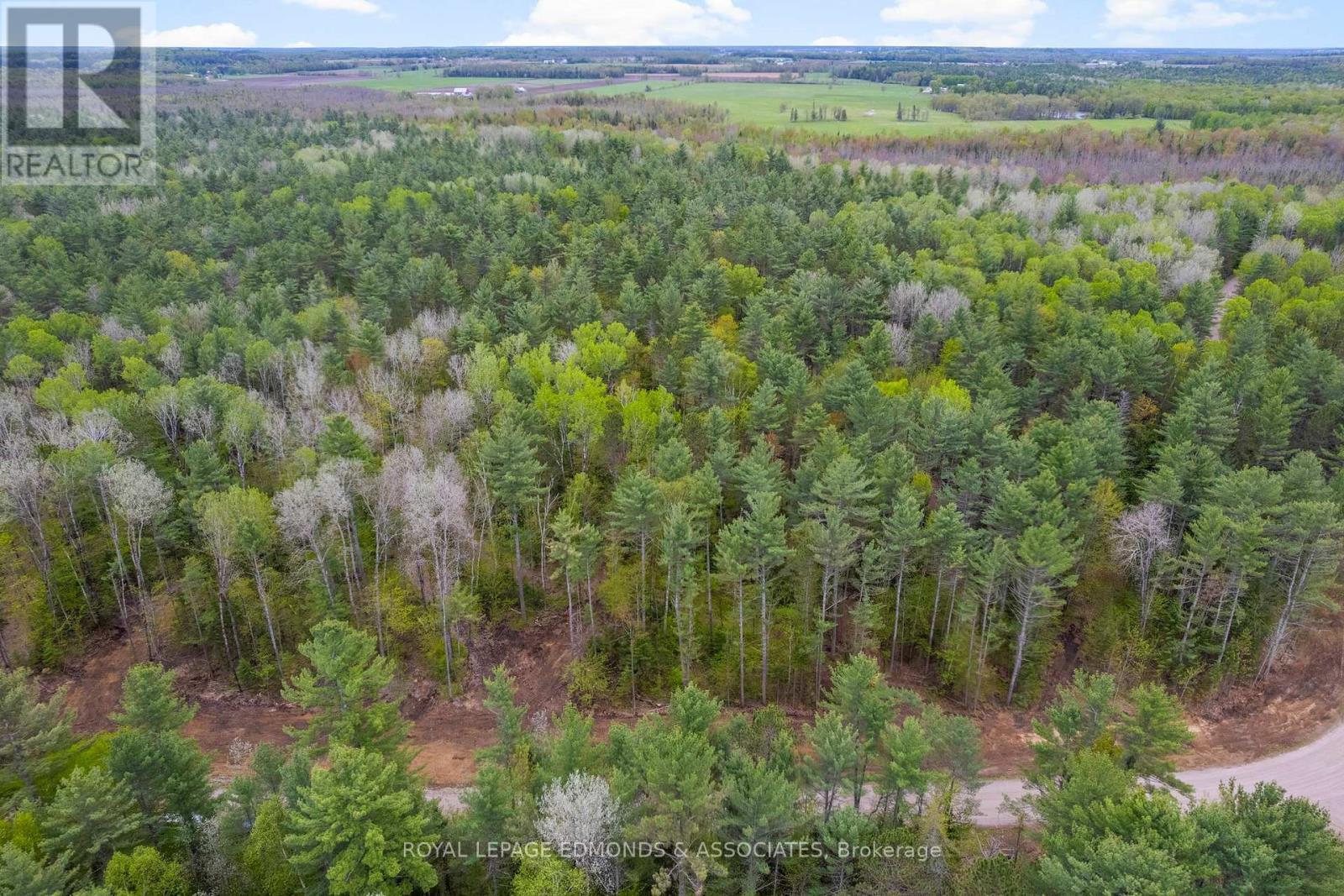 00 Nangor Trail, Whitewater Region, Ontario  K0J 2L0 - Photo 8 - X12167227
