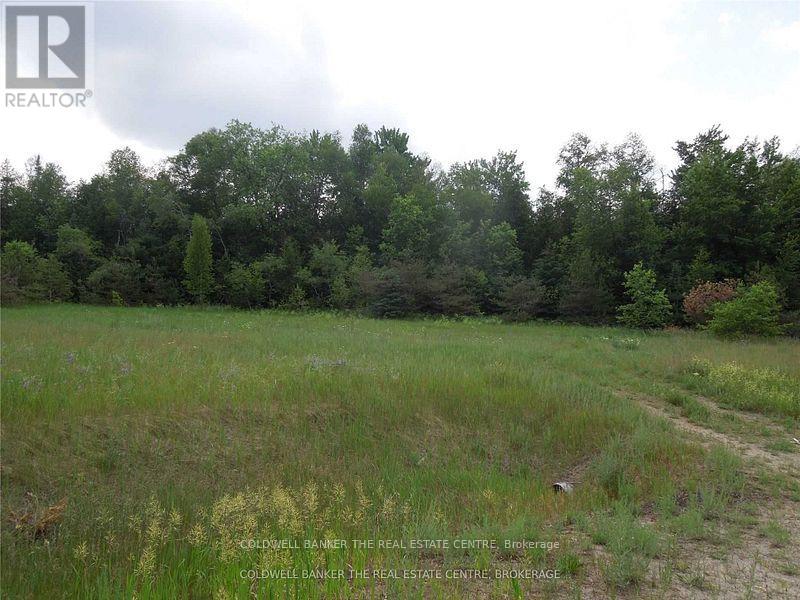 6 Tioga Boulevard, Adjala-Tosorontio, Ontario  L0M 1J0 - Photo 4 - N12167264