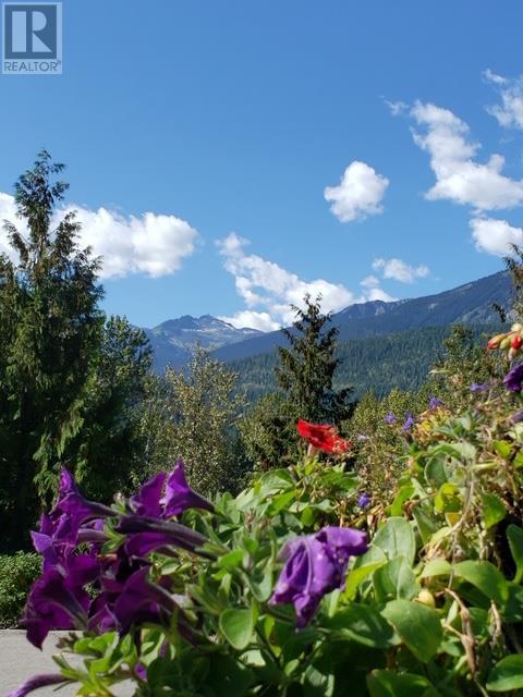 7050 Trans Canada Highway, Revelstoke, British Columbia  V0E 2S0 - Photo 6 - 10346666