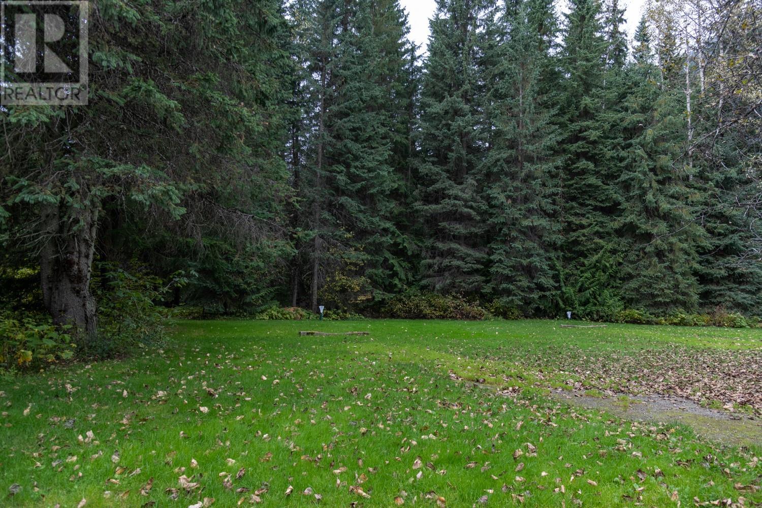 7050 Trans Canada Highway, Revelstoke, British Columbia  V0E 2S0 - Photo 8 - 10346666