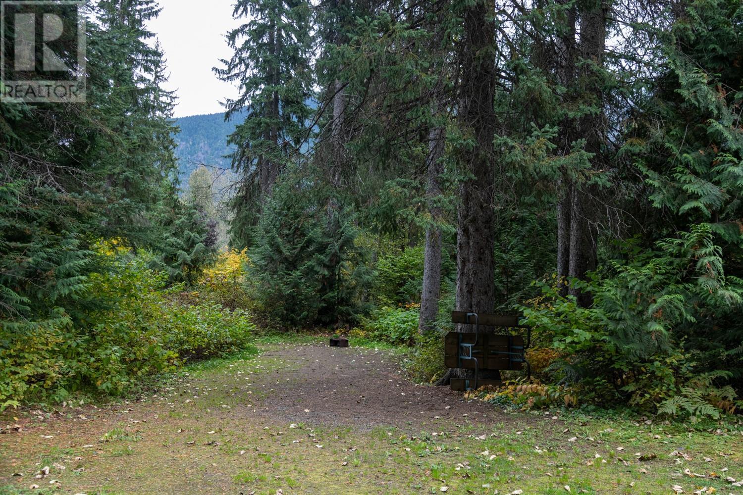7050 Trans Canada Highway, Revelstoke, British Columbia  V0E 2S0 - Photo 10 - 10346666