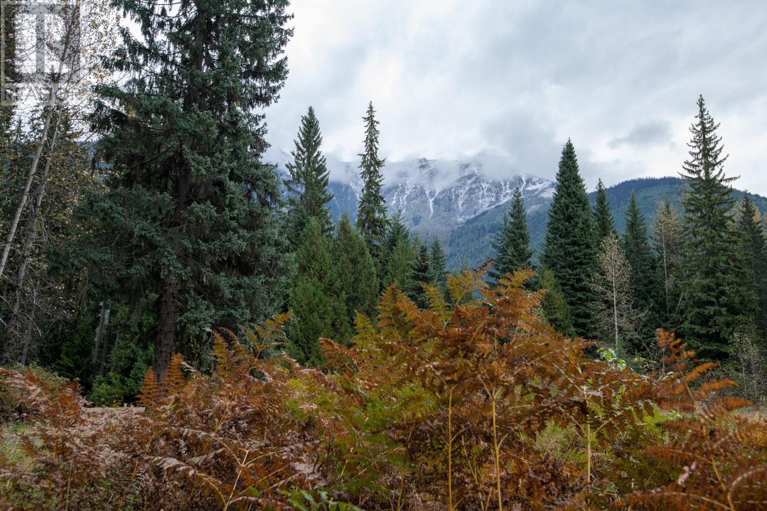 7050 Trans Canada Highway, Revelstoke, British Columbia  V0E 2S0 - Photo 19 - 10346666