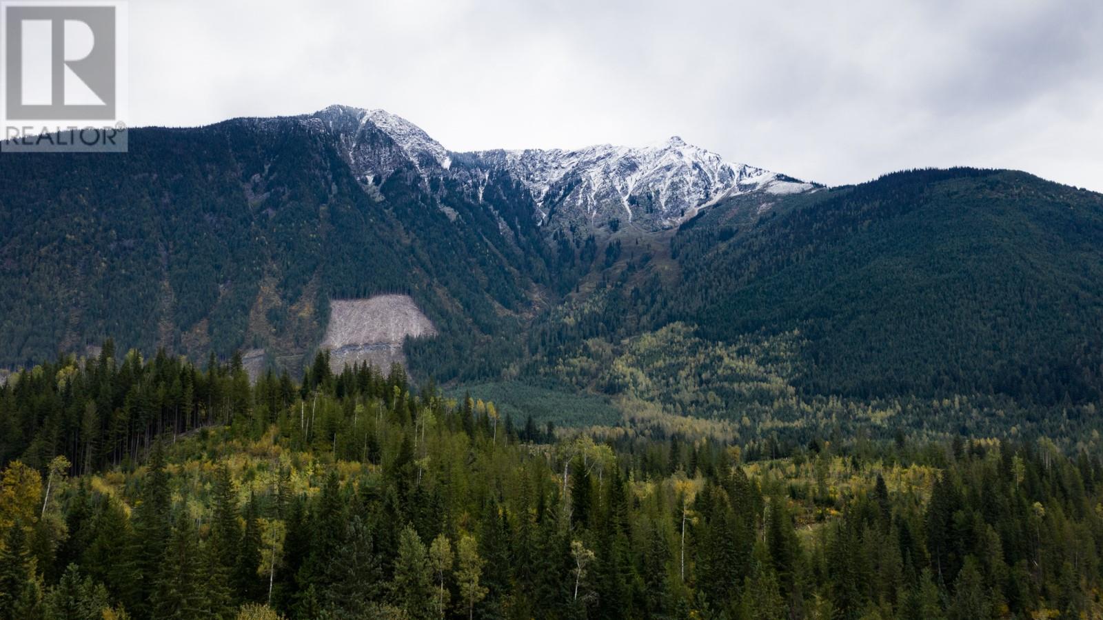 7050 Trans Canada Highway, Revelstoke, British Columbia  V0E 2S0 - Photo 39 - 10346666