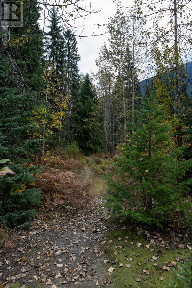 7050 Trans Canada Highway, Revelstoke, British Columbia  V0E 2S0 - Photo 14 - 10346666