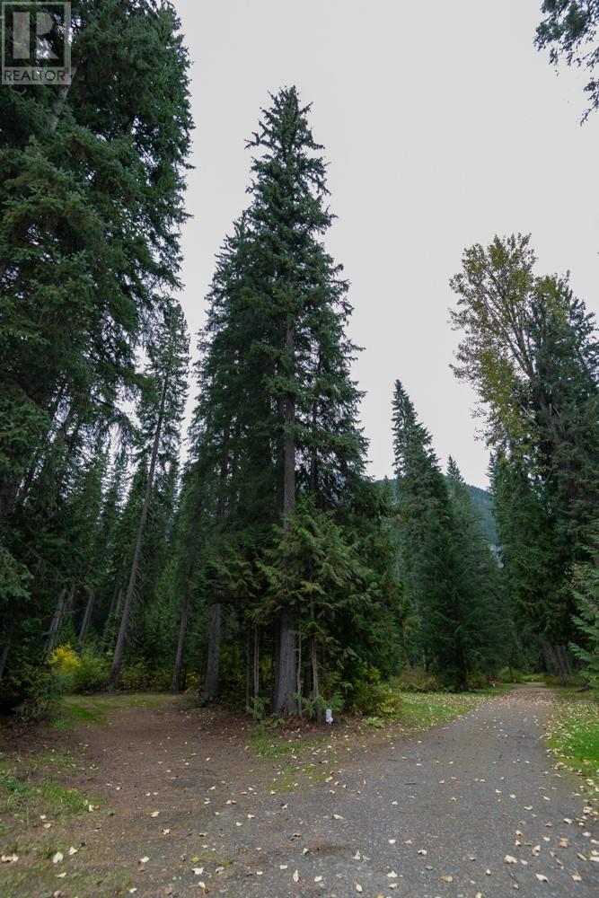 7050 Trans Canada Highway, Revelstoke, British Columbia  V0E 2S0 - Photo 13 - 10346666