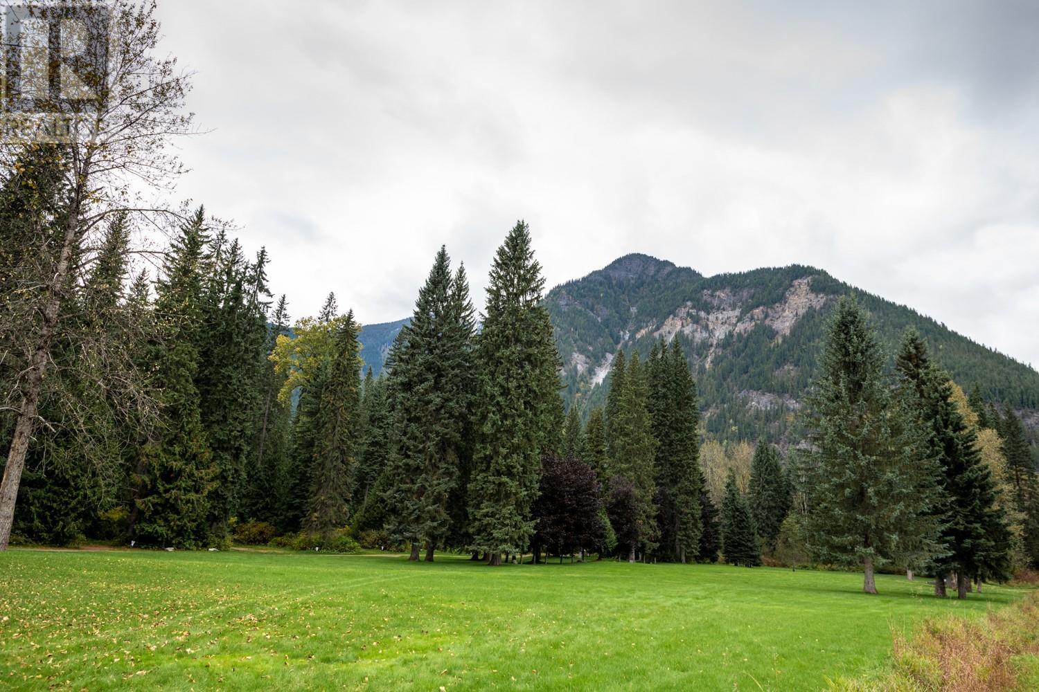 7050 Trans Canada Highway, Revelstoke, British Columbia  V0E 2S0 - Photo 58 - 10346666