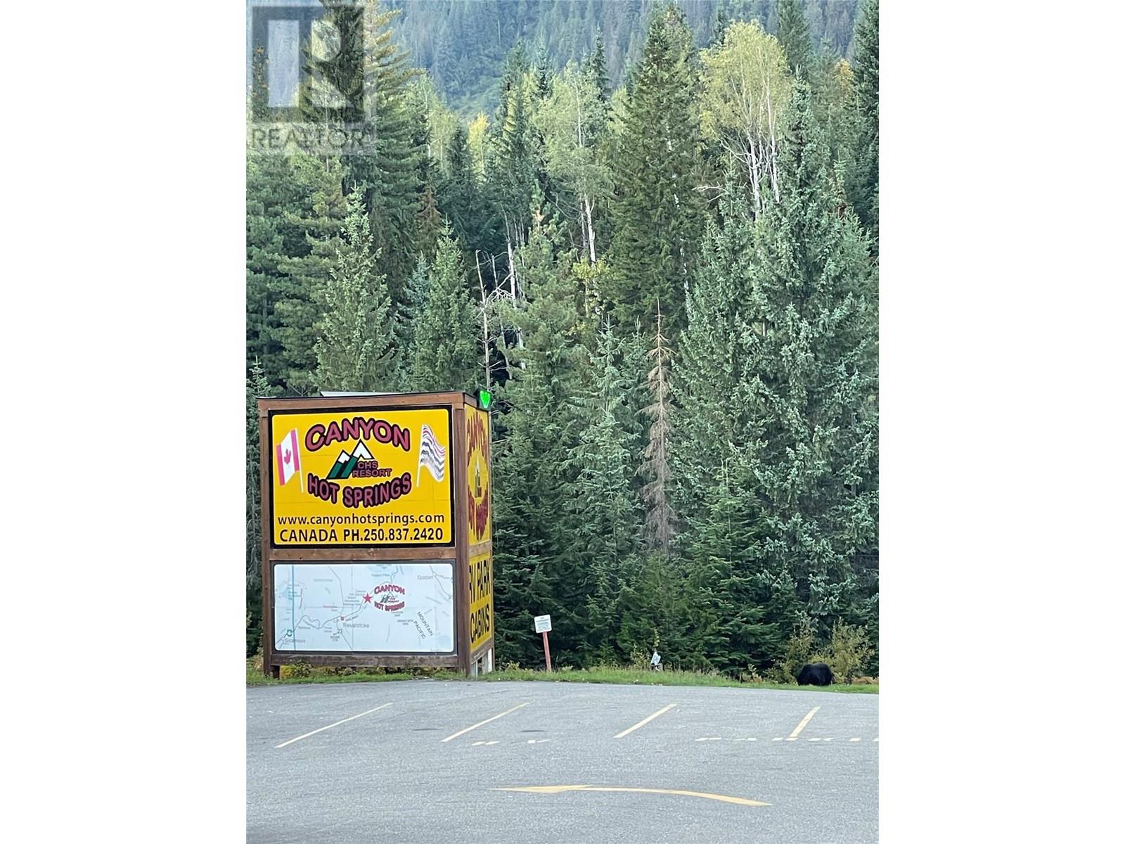 7050 Trans Canada Highway, Revelstoke, British Columbia  V0E 2S0 - Photo 48 - 10346666