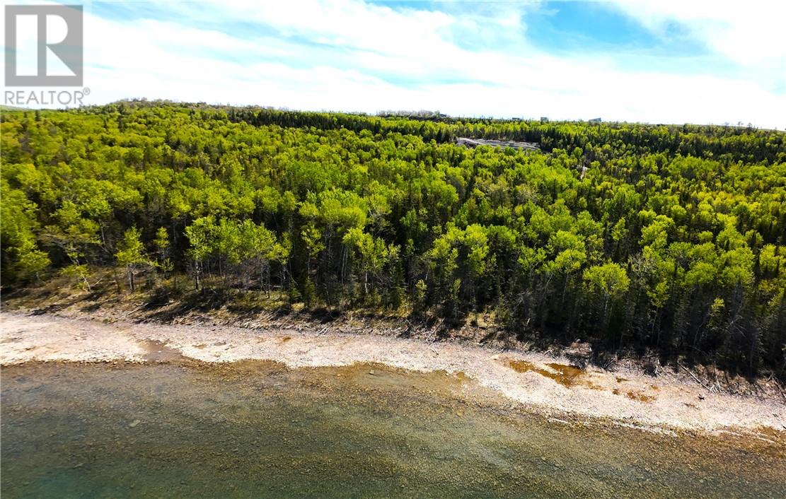 N/a Highway 6, Sheguiandah, Ontario  P0P 1W0 - Photo 3 - 2122350