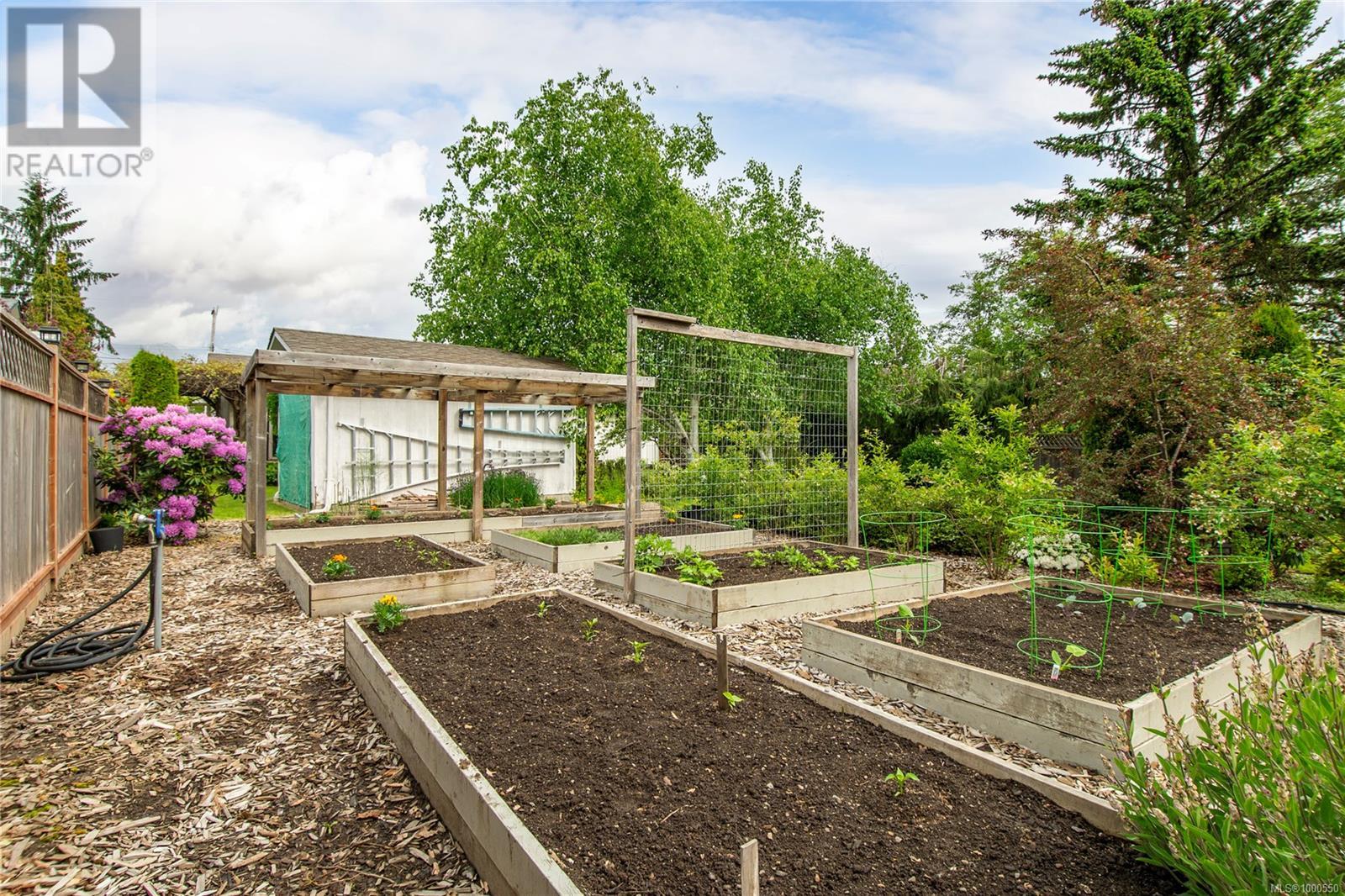 453 Westgate Rd, Campbell River, British Columbia  V9W 1R7 - Photo 39 - 1000550