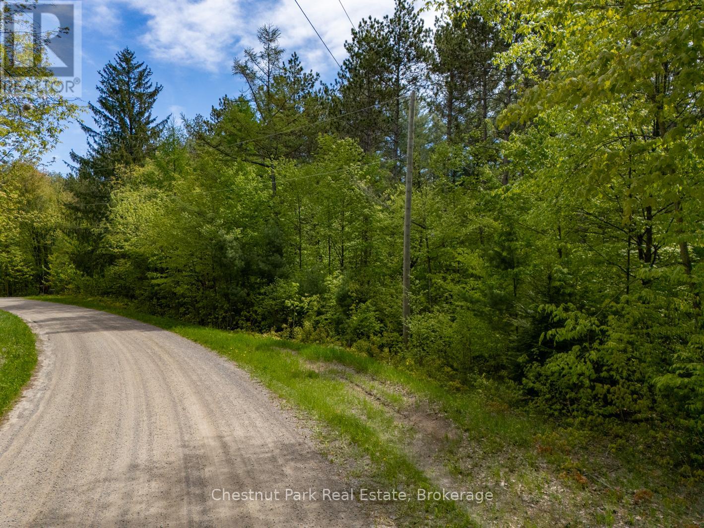 Pt Lt 24 4th Line E, Mulmur, Ontario  L9V 0J6 - Photo 19 - X12155001