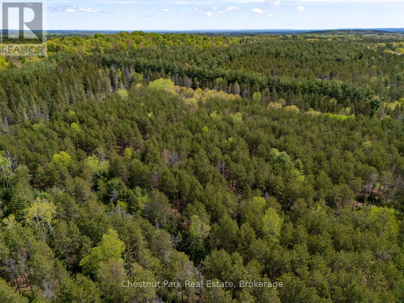 Pt Lt 24 4th Line E, Mulmur, Ontario  L9V 0J6 - Photo 13 - X12155001