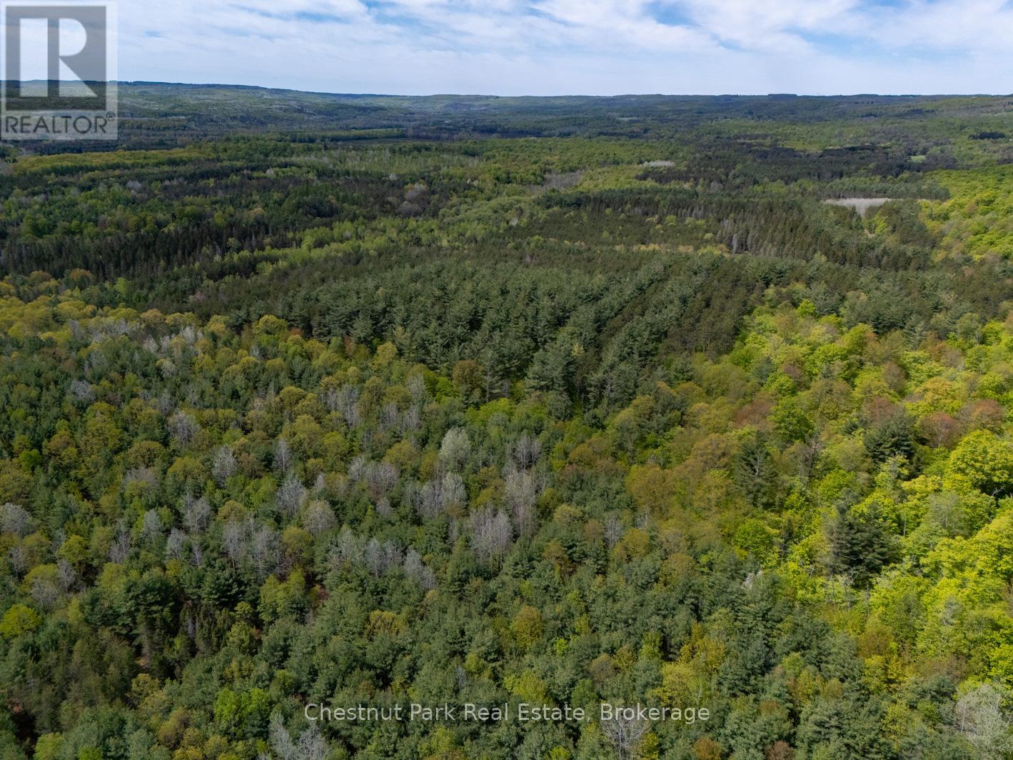 Pt Lt 24 4th Line E, Mulmur, Ontario  L9V 0J6 - Photo 6 - X12155001