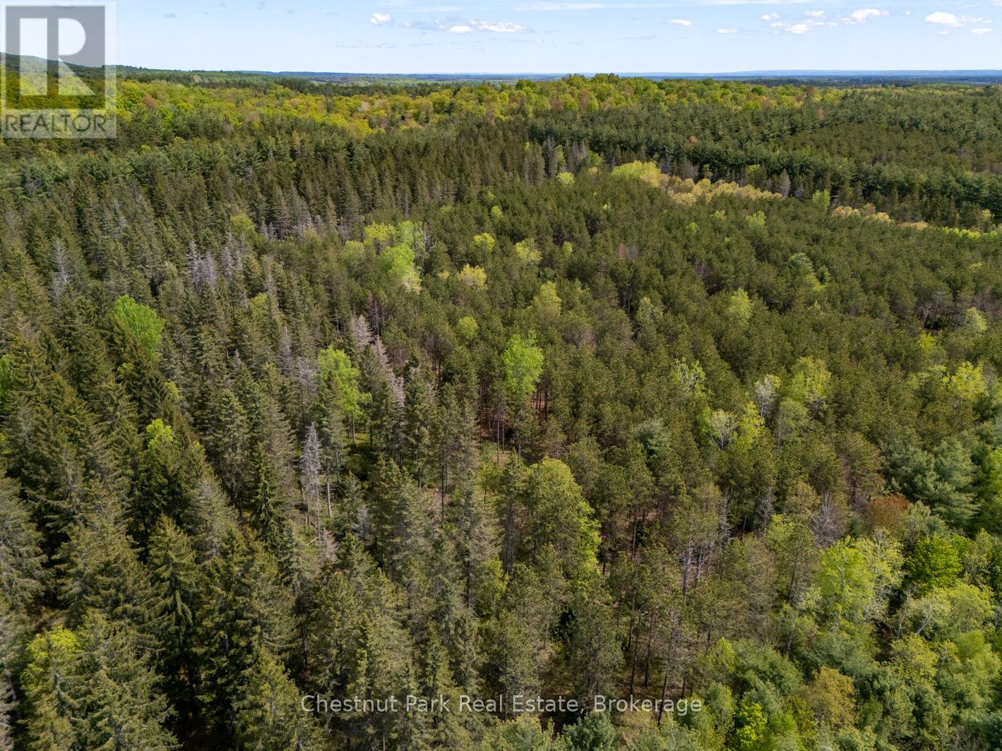 Pt Lt 24 4th Line E, Mulmur, Ontario  L9V 0J6 - Photo 12 - X12155001