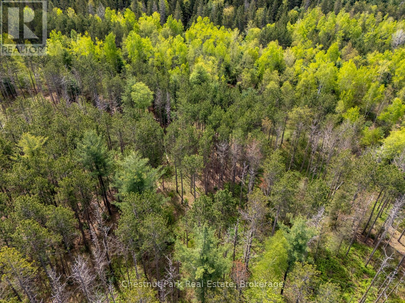 Pt Lt 24 4th Line E, Mulmur, Ontario  L9V 0J6 - Photo 17 - X12155001