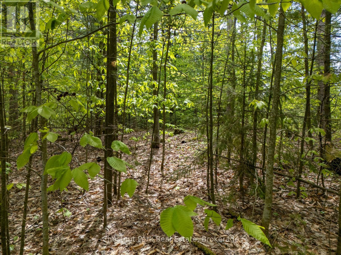 Pt Lt 24 4th Line E, Mulmur, Ontario  L9V 0J6 - Photo 21 - X12155001