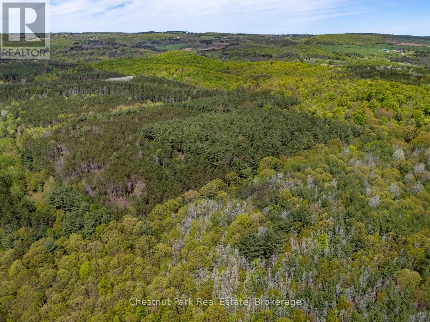Pt Lt 24 4th Line E, Mulmur, Ontario  L9V 0J6 - Photo 9 - X12155001
