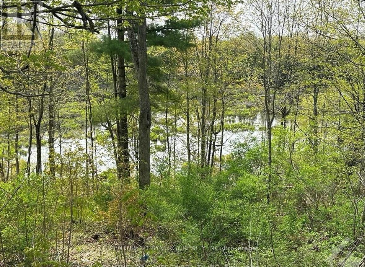 22823 Highway 7 Highway, Tay Valley, Ontario  K0H 2B0 - Photo 6 - X12167570