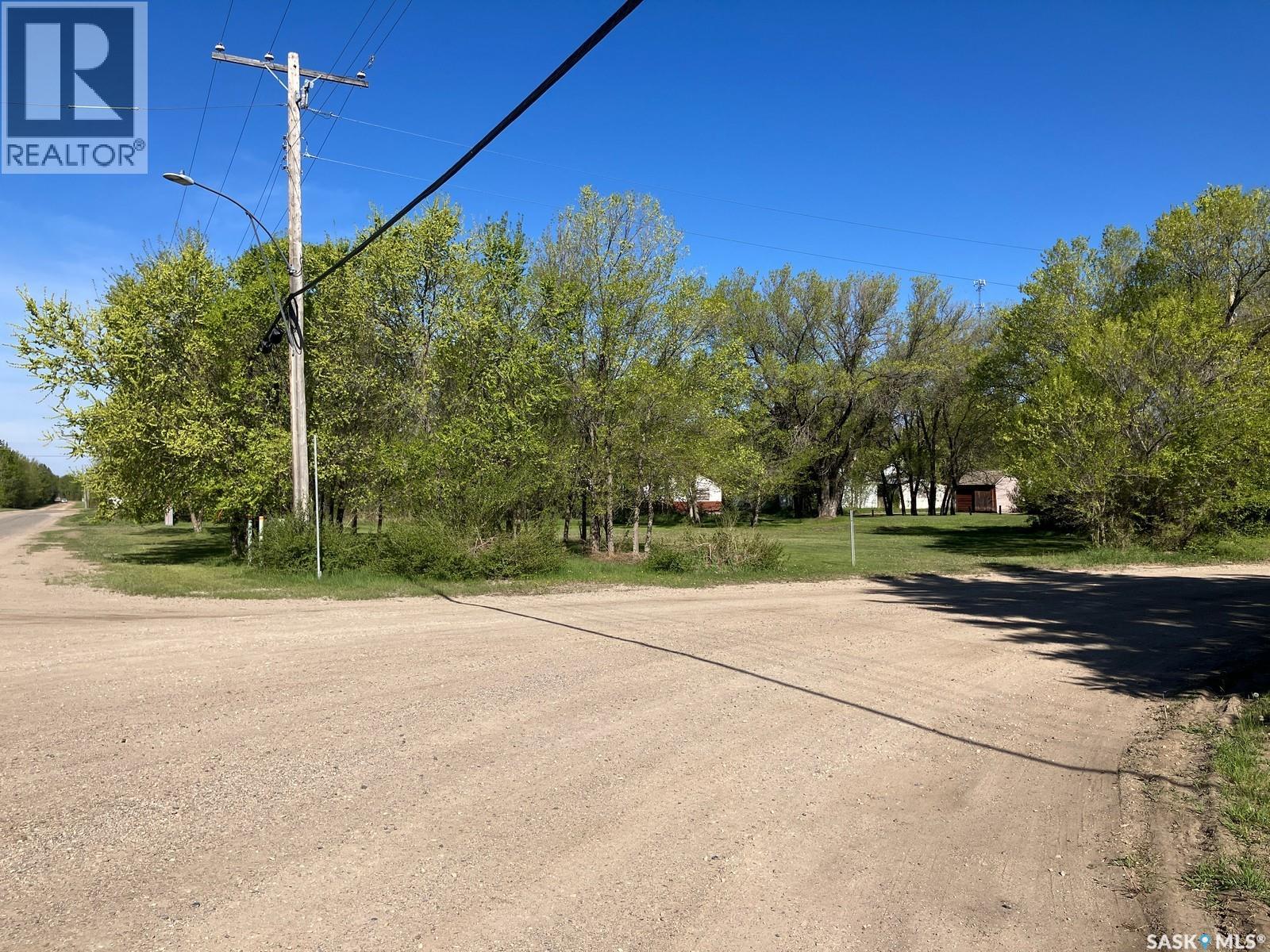 100 - 104 Princess Street, Nipawin, Saskatchewan  S0E 1E0 - Photo 3 - SK993182