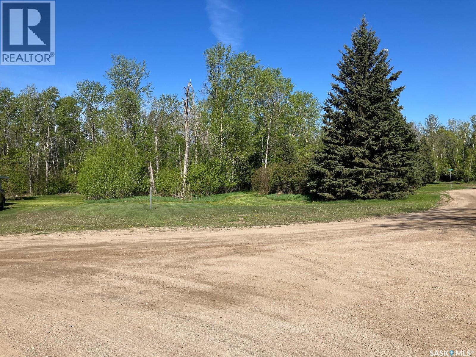 120 Seymour Street, Nipawin, Saskatchewan  S0E 1E0 - Photo 2 - SK993184