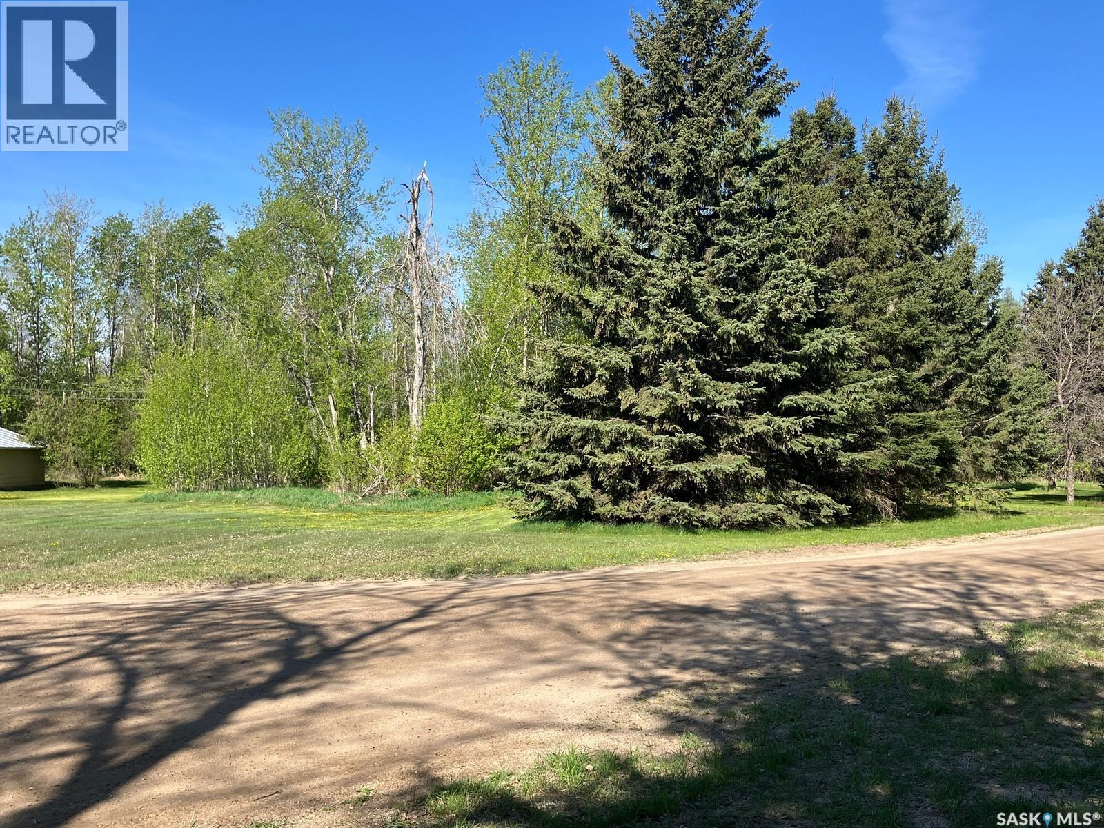 120 Seymour Street, Nipawin, Saskatchewan  S0E 1E0 - Photo 4 - SK993184