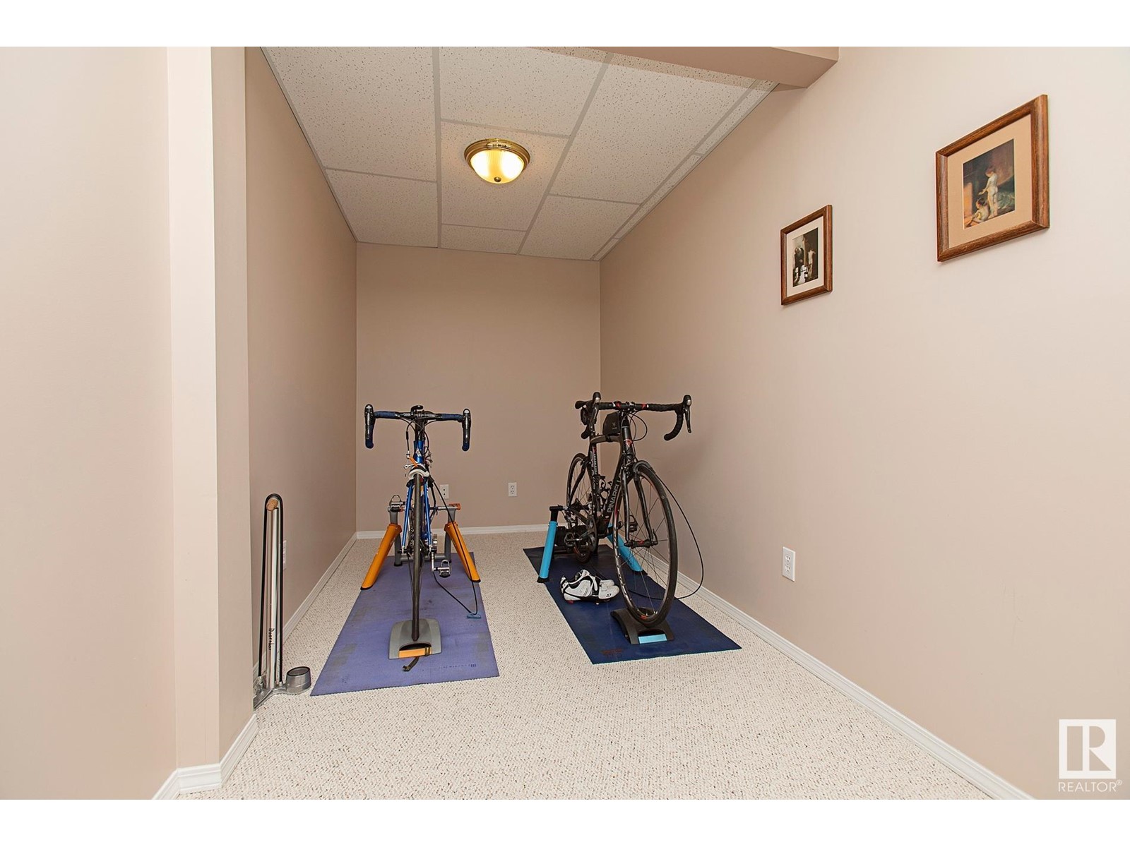 8815 188 Street Nw, Edmonton, Alberta  T5T 5Z8 - Photo 33 - E4437968
