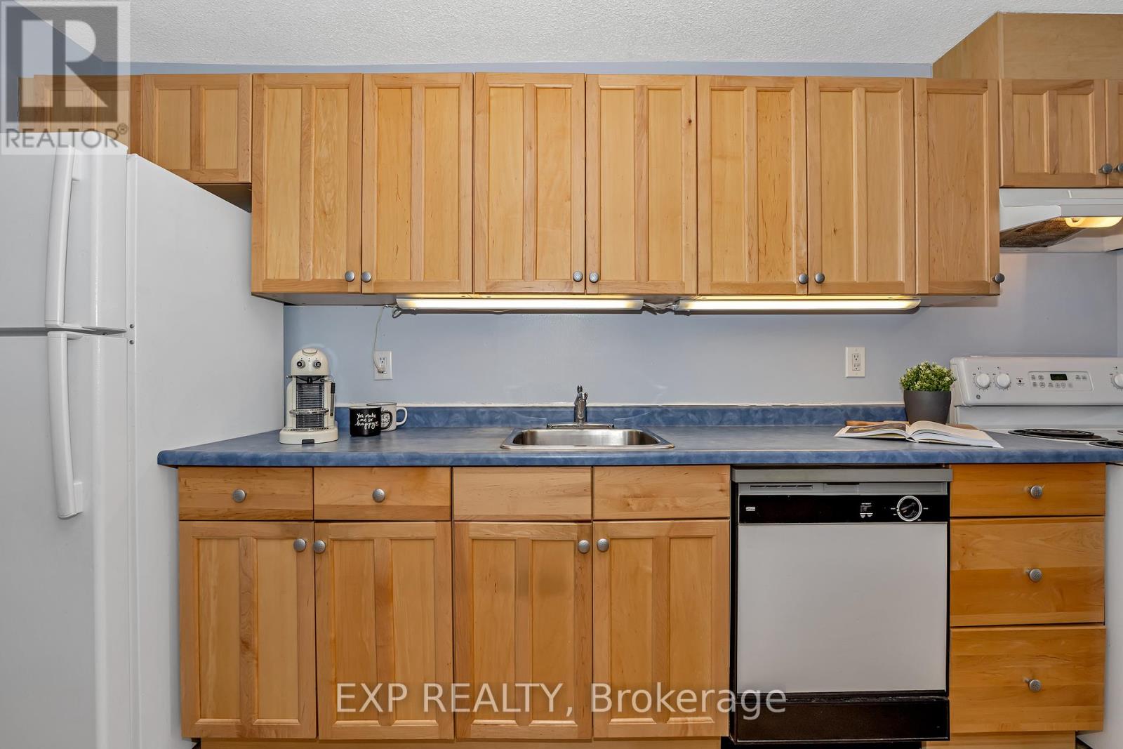 506 - 1785 Frobisher Lane, Ottawa, Ontario  K1G 3T7 - Photo 7 - X12167622