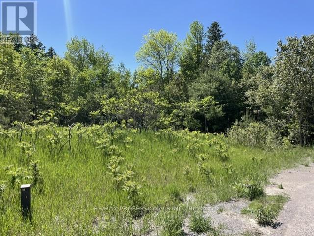 21 LAVER CRESCENT, Trent Lakes, Ontario