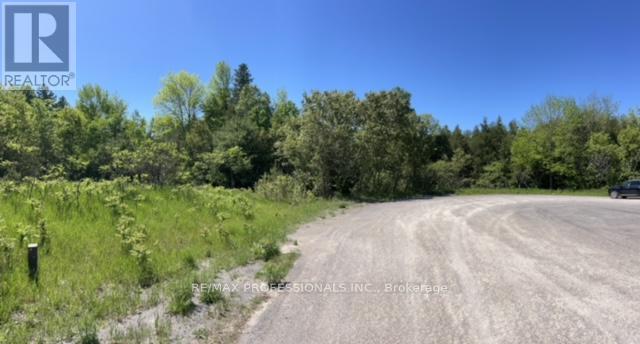 21 Laver Crescent, Trent Lakes, Ontario  K0K 3K0 - Photo 3 - X12167710