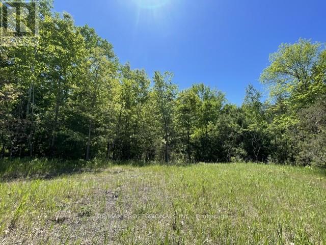 21 Laver Crescent, Trent Lakes, Ontario  K0K 3K0 - Photo 8 - X12167710