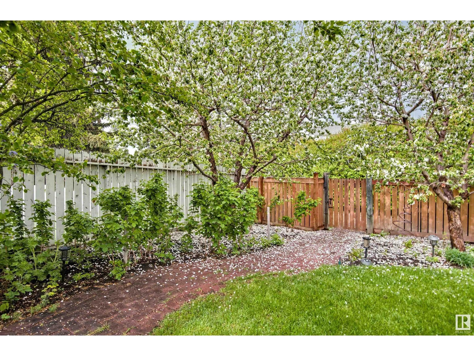 4215 121 St Nw, Edmonton, Alberta  T6J 1Y6 - Photo 51 - E4437991