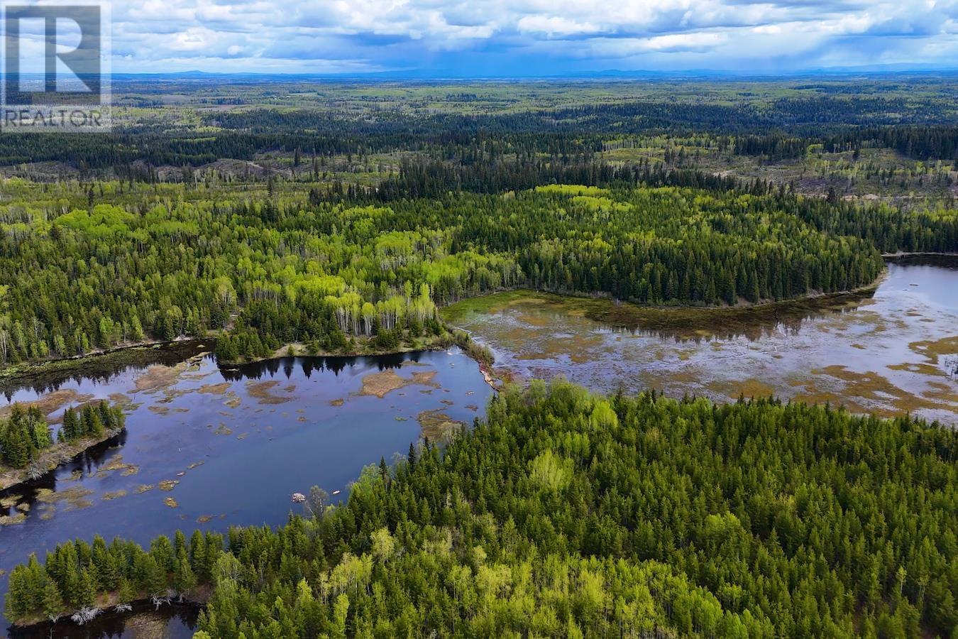 12450 Vivian Lake Road, Prince George, British Columbia  V2K 5N2 - Photo 6 - C8069421