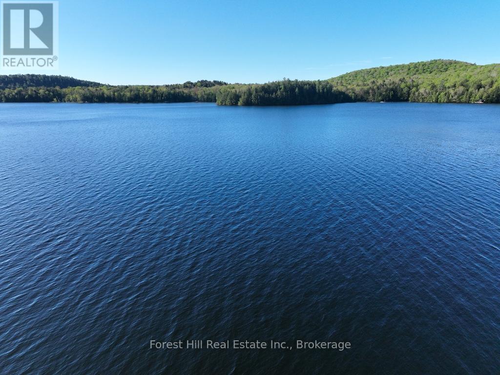 1582 North Creek Drive, Algonquin Highlands, Ontario  P0A 1E0 - Photo 13 - X12167844