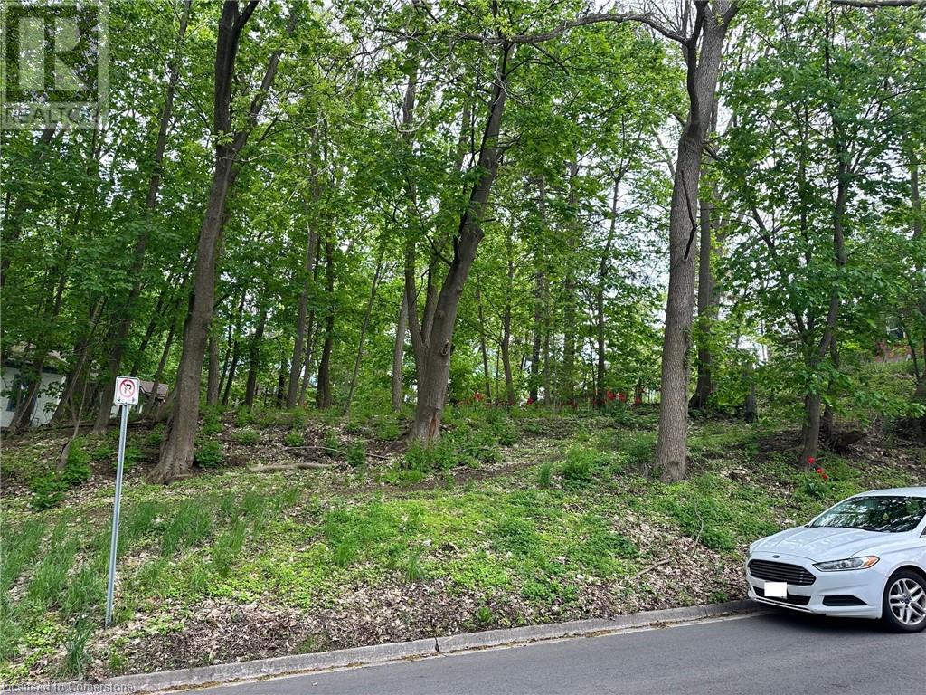 57 Kennedy Street, Brantford, Ontario  N3R 2C7 - Photo 5 - 40732316