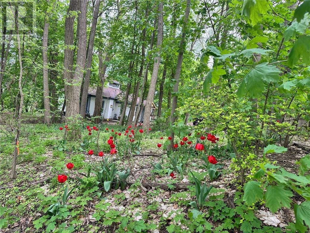 57 Kennedy Street, Brantford, Ontario  N3R 2C7 - Photo 7 - 40732316