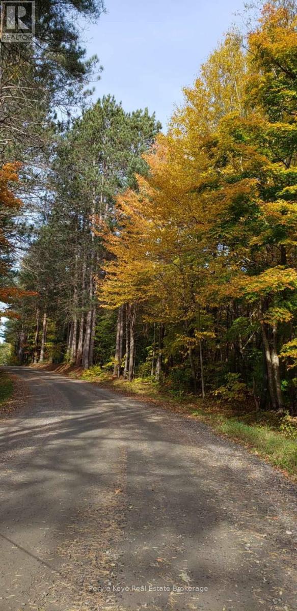 N/a Houston Road, Muskoka Lakes, Ontario  P1L 1X4 - Photo 16 - X12167997