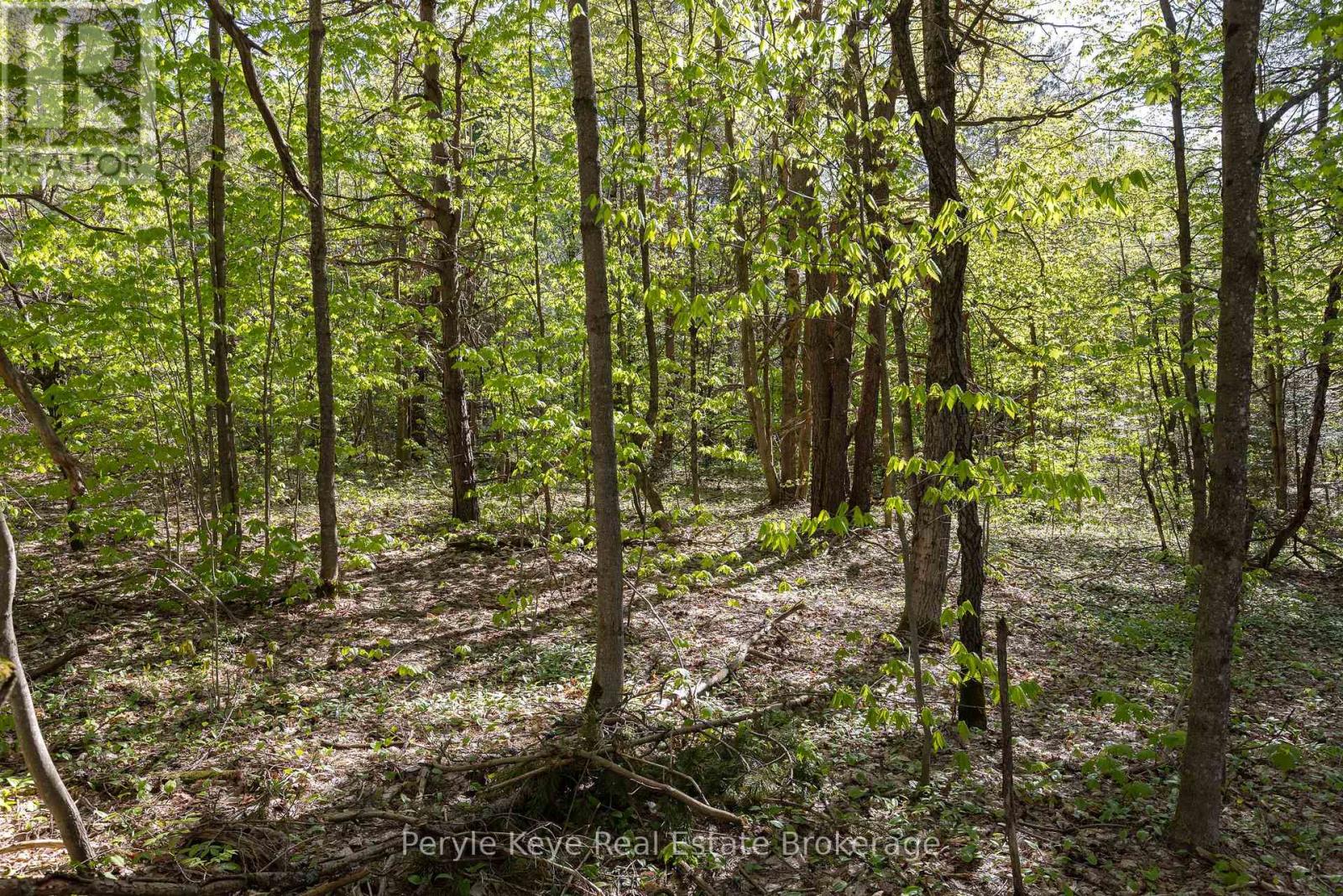 N/a Houston Road, Muskoka Lakes, Ontario  P1L 1X4 - Photo 21 - X12167997