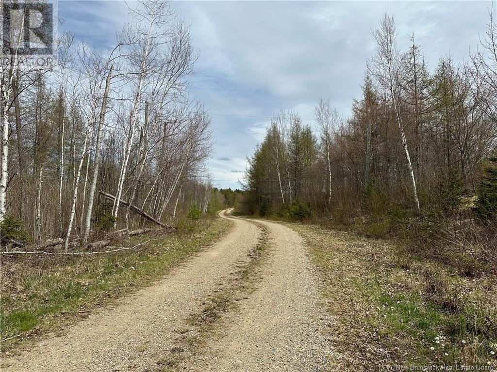 Lot 23-1 Country Shore Lane, Codys, New Brunswick  E4C 1B6 - Photo 23 - NB119146
