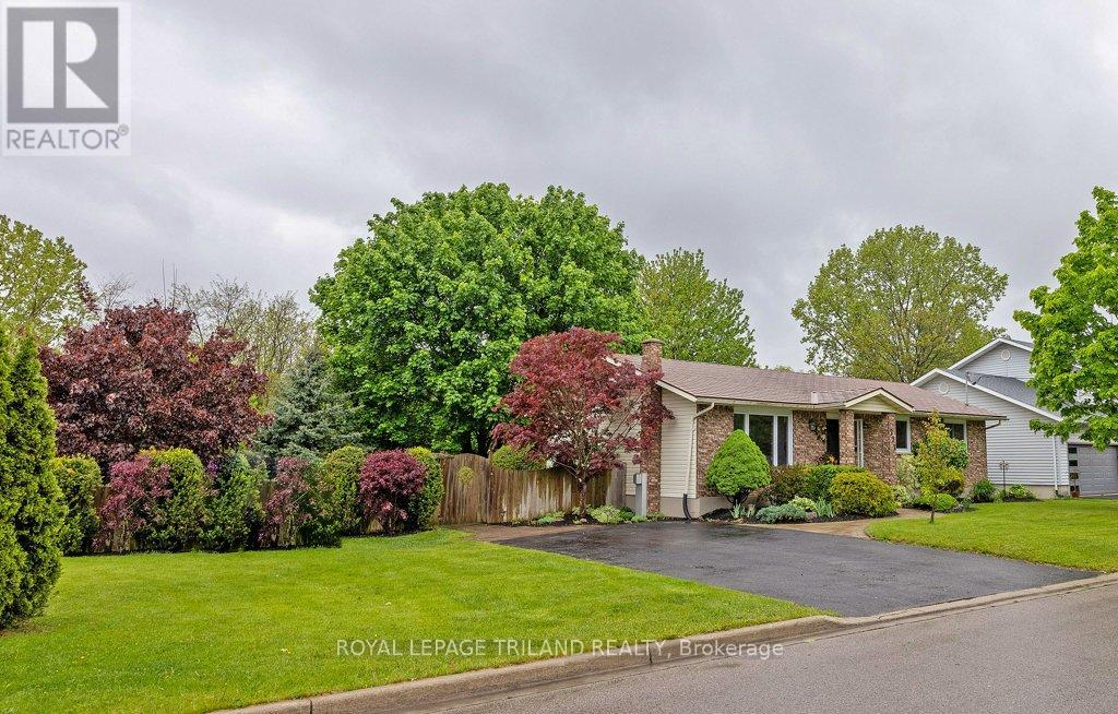 277 Mutual Street N, Ingersoll, Ontario  N5C 2A9 - Photo 4 - X12168179